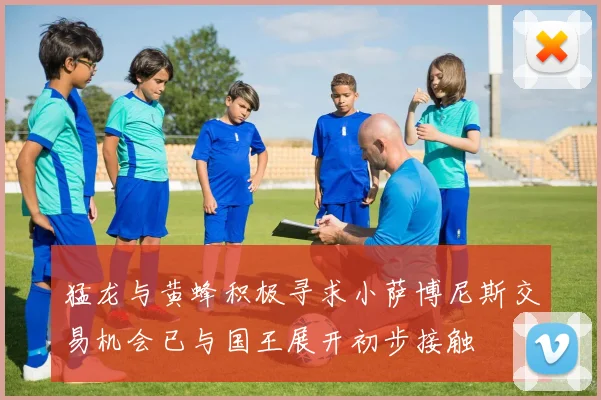 猛龙与黄蜂积极寻求小萨博尼斯交易机会已与国王展开初步接触