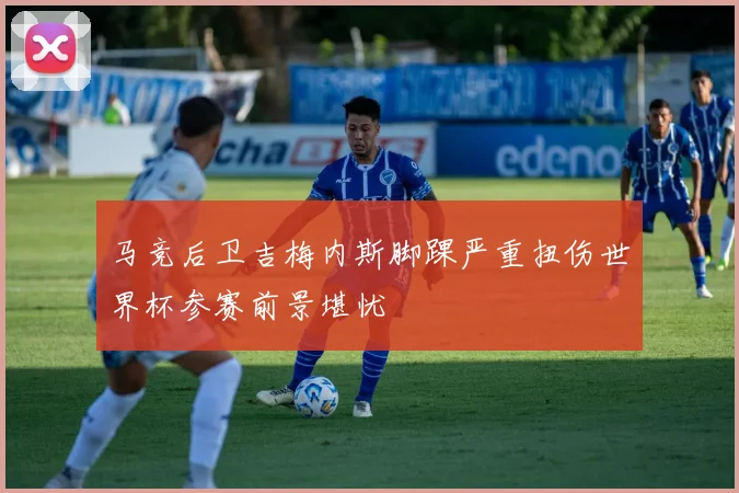 马竞后卫吉梅内斯脚踝严重扭伤世界杯参赛前景堪忧